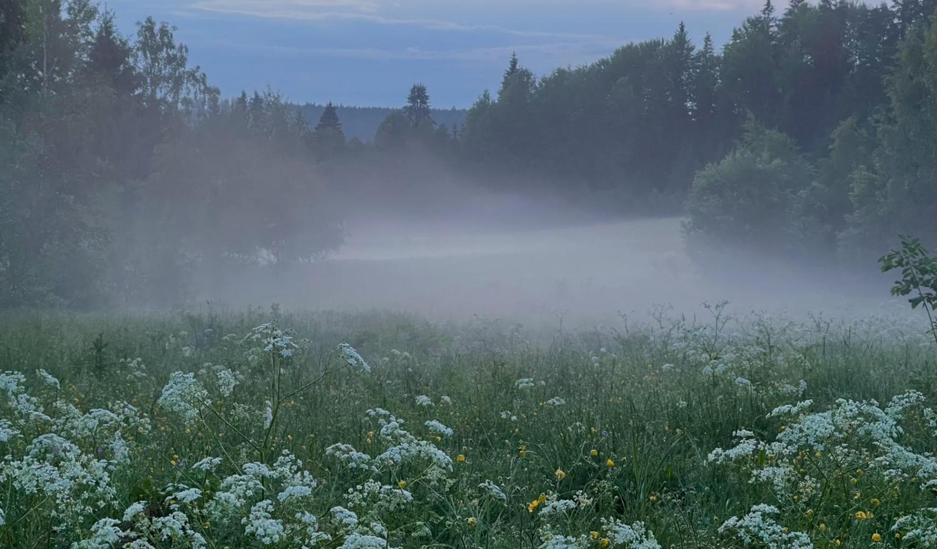 Noretjaerns Stugby Vakantiepark Årjäng